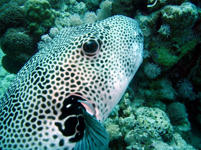 13-03-14 078 Mary.jpg